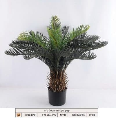 עציץ דקל מתרחב 70 ס"מ