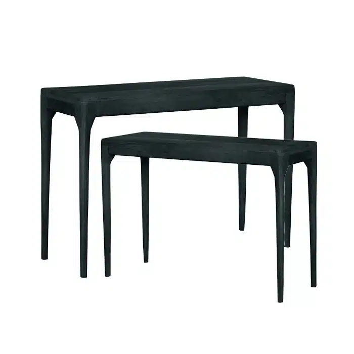 קונסולה לוסט בלאק L – תמונה 3
